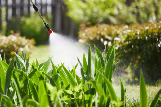 24/7 Emergency Mosquito Control experts in Pleasure Point, CA